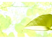 仙台整体タマハガネ/返金保証あり