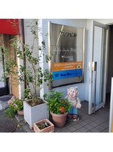 ディープブルー(Deep Blue)/アクアビル入口