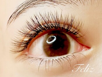 フェリス(Feliz)/ 3Dボリュームラッシュ120束