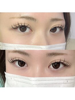 ジョリー(Jolie)/