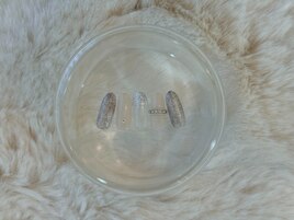 ワンホンネイル ¥6480