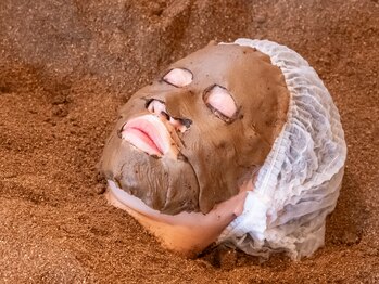 龍の木の写真/発酵の恵みで、肌を土台から整える