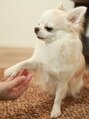 ノエッシュ(NOESH)&nbsp;お部屋までご案内するからついて来てね♪