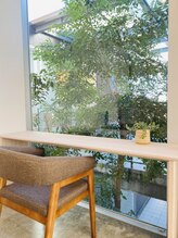 ブルーフォレスト/