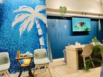 海ここち/こだわりのヒーリングサウンド