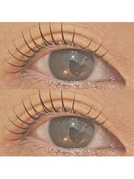 ピピラッシュ(pipi lash)/ラッシュリフト