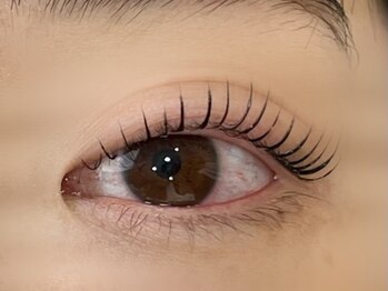 アルディ(hardi)/まつ毛パーマ