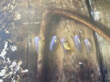 フィグ ツリー(fig tree)/aurora×glasspowder