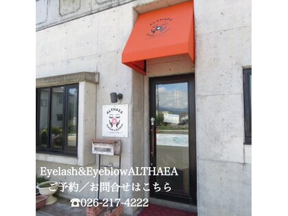 アルセア(ALTHAEA)の写真