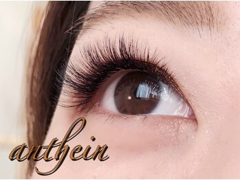 アンテイン(anthein)/4Dのみ 120束