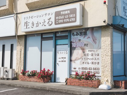 生きかえるの写真