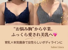 リネア(Linea)