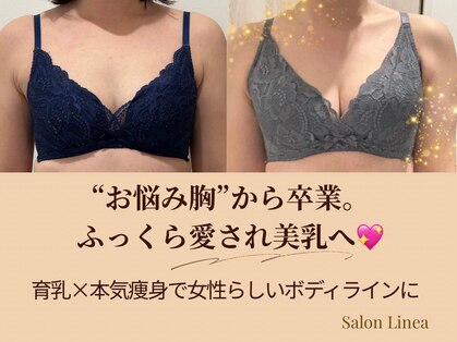 リネア(Linea)の写真