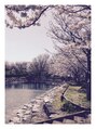 スリムビューティハウス 徳島クレメントプラザ店 近所の桜^^*綺麗なものや可愛いものについ惹かれてしまいます