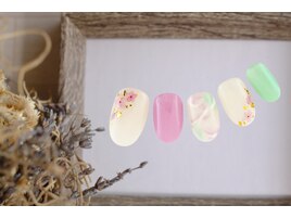 さくら　クリア　【11661】