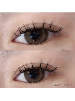 メアリーハリス 姪浜(Mary Harris)/ フラットラッシュ 140本