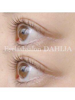 ダリア(DAHLIA)/パリジェンヌラッシュリフト