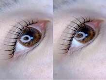 ディーロータス(D-lotus)