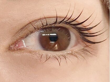 カヌマ(kanuma)の写真