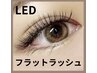 【すぐ硬化で持続力アップ!】LEDフラットラッシュ 100本 ¥8000