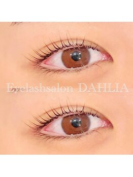 ダリア(DAHLIA)/パリジェンヌラッシュリフト