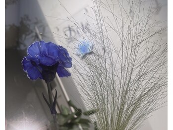 ディテ(Di te)/ブルーのカーネーション