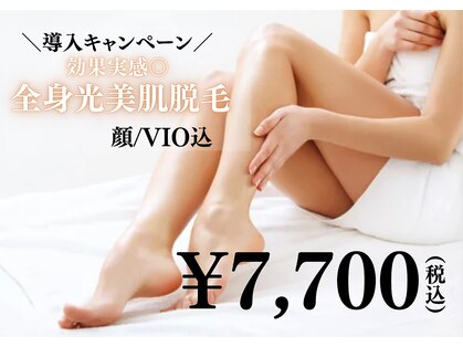 ビバ(VIVA)の写真
