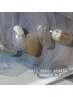 ご新規◎店内サンプルB◎￥6500