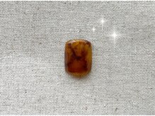 パインキュート(Pine Cute)/フット　定額デザイン☆A