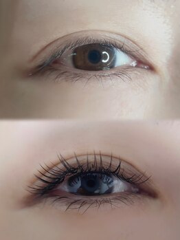 リノア(Linore)/LEDマツエク120本