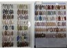 【ハンド】定額ネイルＢ　初回￥550お得に！￥8800→￥8250
