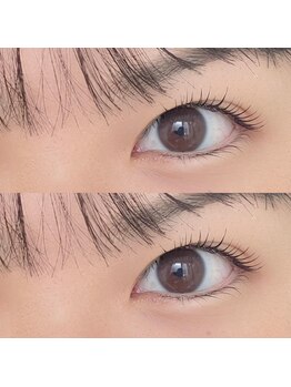 ダリア(DAHLIA)/パリジェンヌラッシュリフト