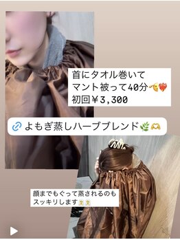 ナーズ(NAZ)/よもぎ蒸しハーブブレンド