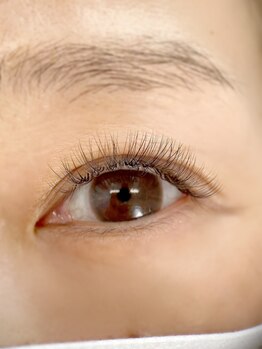 ムニ(muni)/LEDボリュームラッシュ80束