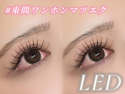 ライリス(Lylis)の写真