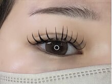 ルピナス 川口(Lupinus)/フラットラッシュ120本