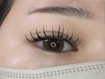 ルピナス 川口(Lupinus)/フラットラッシュ120本