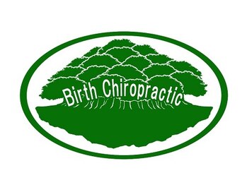 ヴァースカイロプラクティック境/案内図 駐車料金は当院負担です