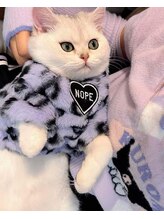 リノ(RINO)&nbsp;ハナ 