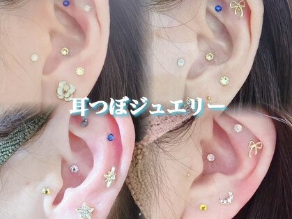 ラナ(Lana)の写真