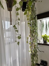 ブルーム(B.LOOM)/リンパマッサージ