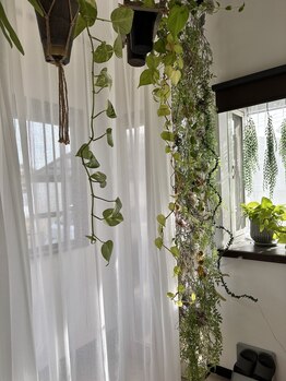 ブルーム(B.LOOM)/リンパマッサージ