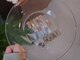 カフネ(cafune)の写真