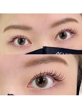 ダリア(DAHLIA)/フラットマットラッシュ