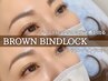 《期間限定》ブラウンバインドロック120束¥8900