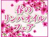 【春オイルフェア】　オイルセットコース100分　（通常14000円）⇒11800円