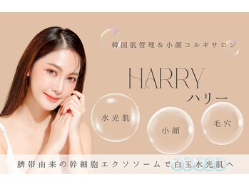 ハリーハリー 名古屋栄店(HARRY ハリー)