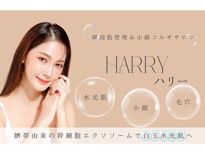 ハリーハリー 名古屋栄店(HARRY ハリー)の写真