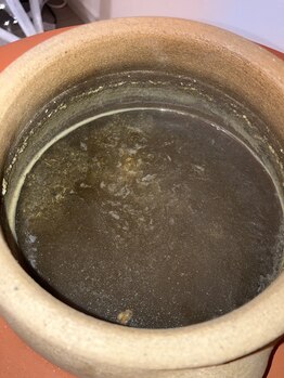 アウラ/よもぎ蒸し後の毒ツボ