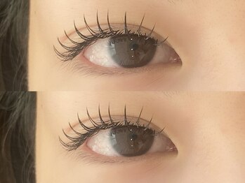 エルドット 八尾店(L.)/フラットラッシュ150本